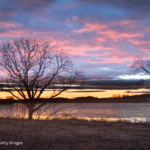 Enjoy a Scenic Drive from Twin Pine Manor B&B