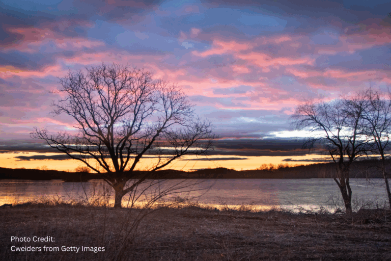 Enjoy a Scenic Drive from Twin Pine Manor B&B