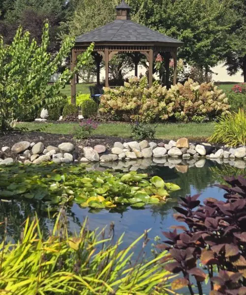 Outdoor Spaces | Twin Pine Manor Bed &Amp; Breakfast