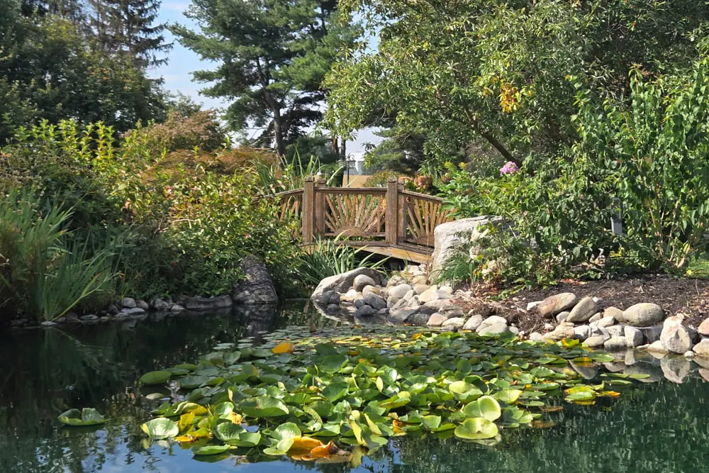 Special And Limited | Twin Pine Manor Bed &Amp; Breakfast