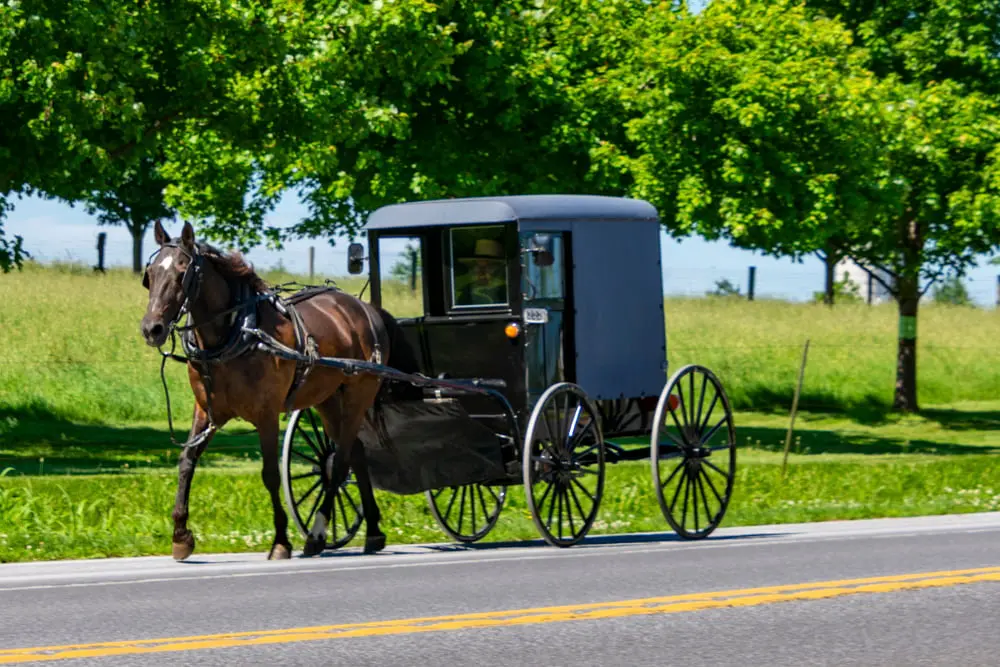 Your Midweek Adventure 1000X6671 1 | Twin Pine Manor Bed &Amp; Breakfast